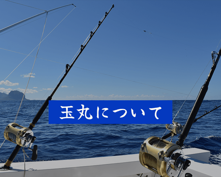 玉丸について